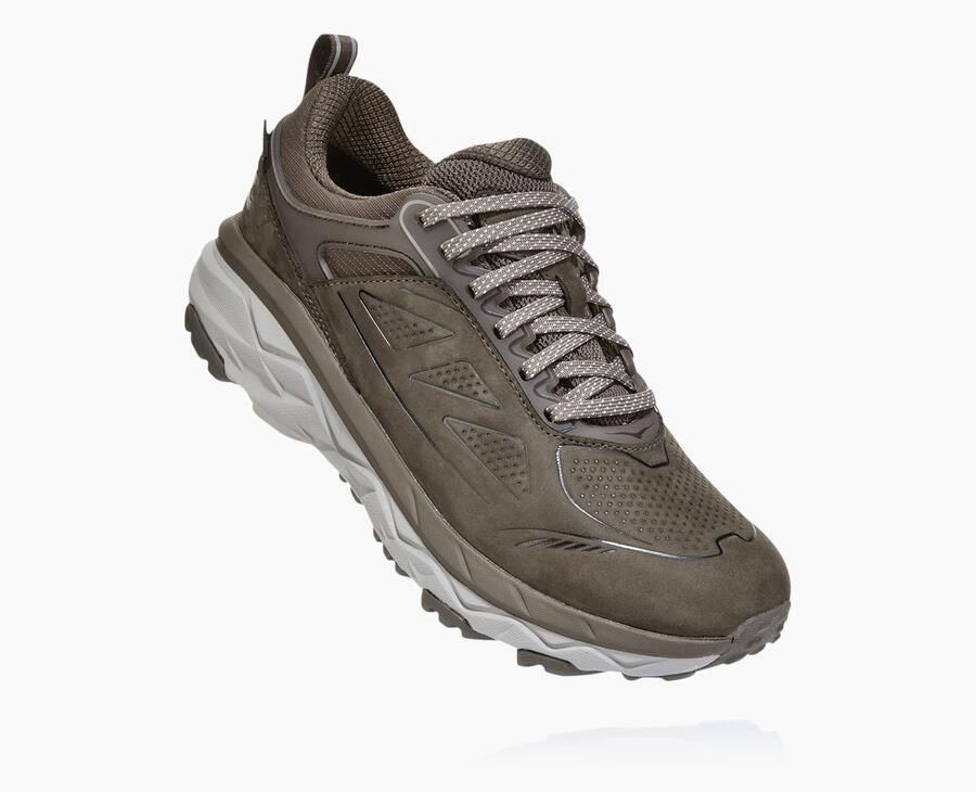 Hoka One One Challenger Låga Gore-Tex Trailskor Dam - Bröst - WNICX-6184